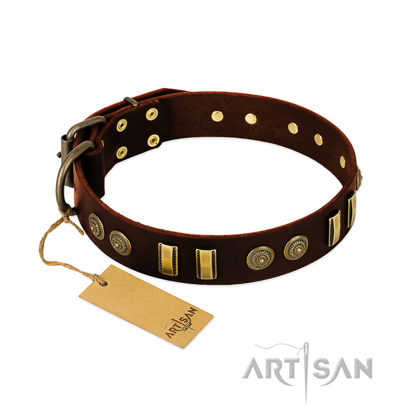 Reliable D-ring on genuine leather dog collar for your canine