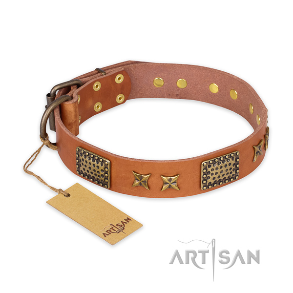Fashionable leather dog collar with rust-proof fittings