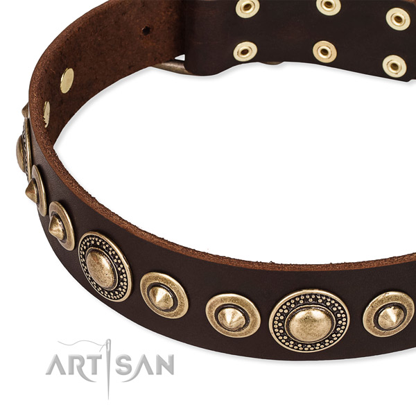 High quality full grain genuine leather dog collar handcrafted for your impressive dog