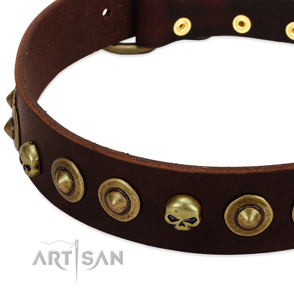 Exquisite embellishments on genuine leather collar for your canine