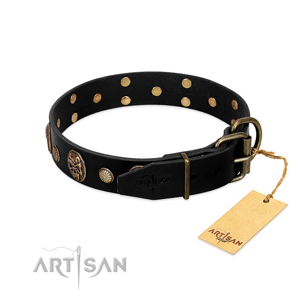 Strong fittings on leather collar for fancy walking your canine
