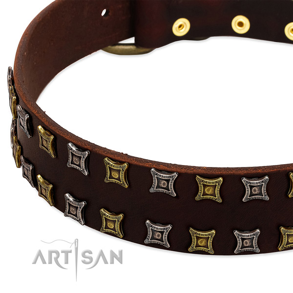 Quality leather dog collar for your beautiful pet