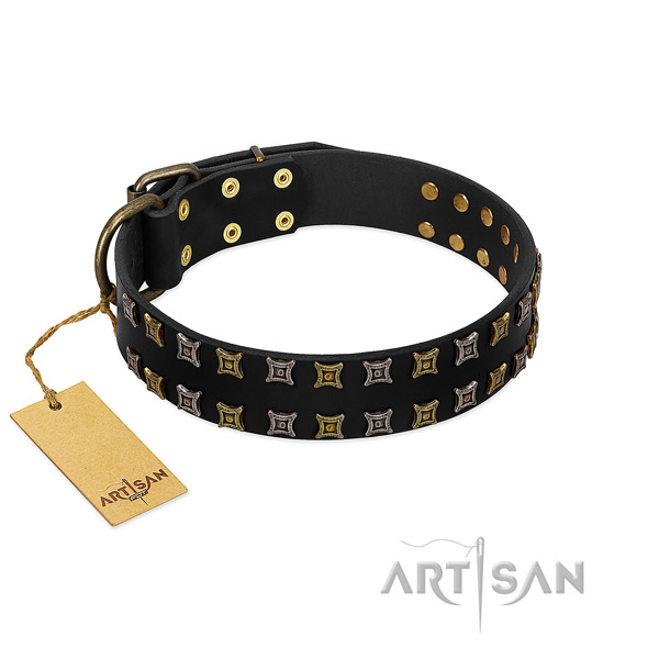 Soft full grain genuine leather dog collar with adornments for your four-legged friend
