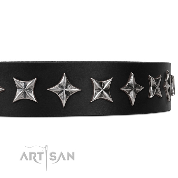 Everyday walking studded dog collar of strong natural leather