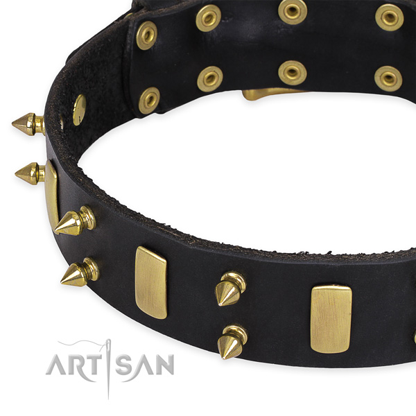 Daily walking decorated dog collar of quality full grain genuine leather