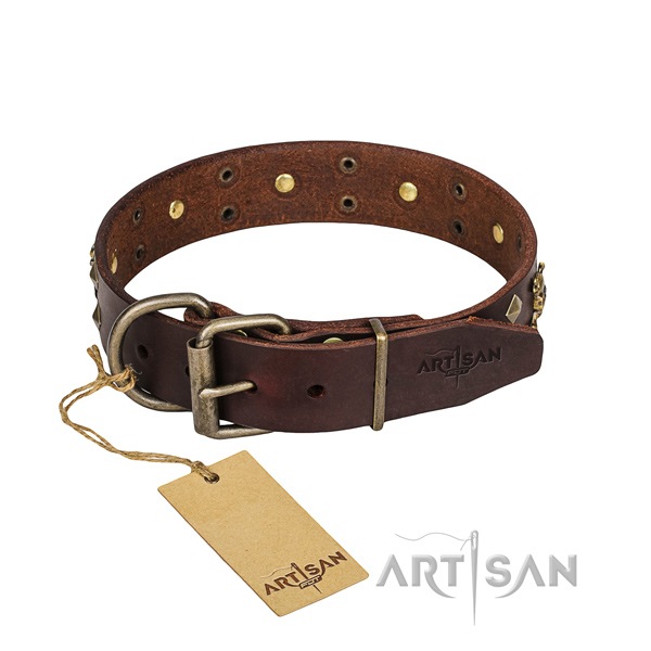 Daily walking dog collar of fine quality full grain leather with studs