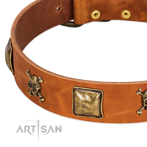 Significant full grain natural leather dog collar with rust-proof adornments