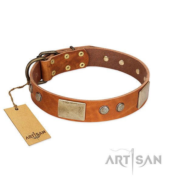 Easy wearing full grain genuine leather dog collar for walking your doggie