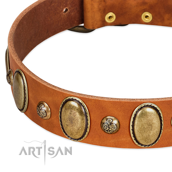 Genuine leather dog collar with amazing adornments