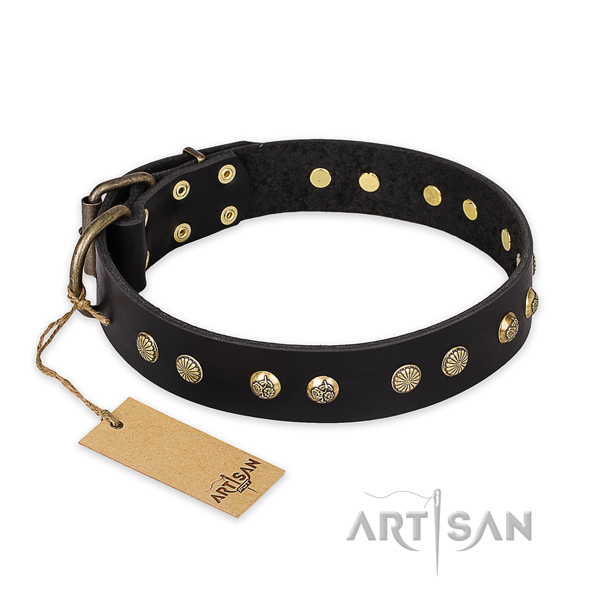 Incredible full grain natural leather dog collar with corrosion resistant traditional buckle
