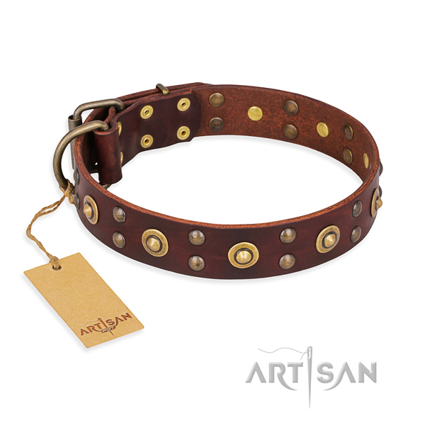 Remarkable leather dog collar with corrosion proof traditional buckle