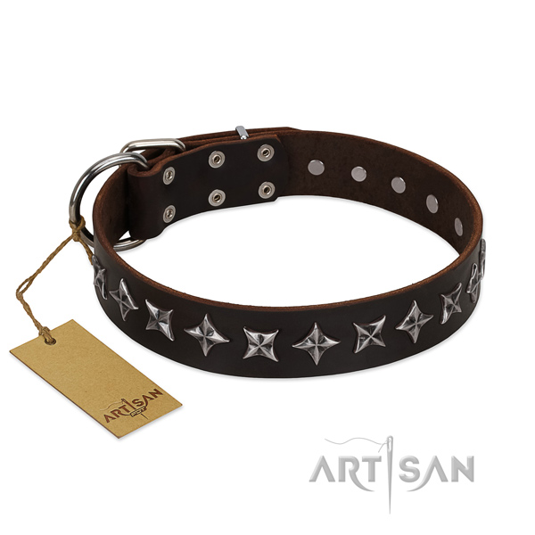 Everyday use dog collar of top notch leather with adornments