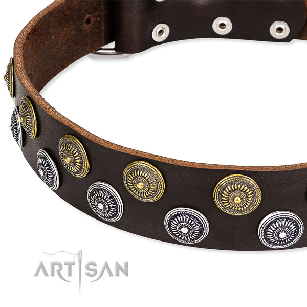 Comfy wearing decorated dog collar of quality full grain natural leather