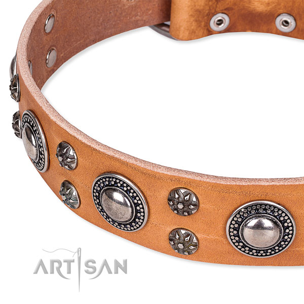 Comfy wearing studded dog collar of strong genuine leather