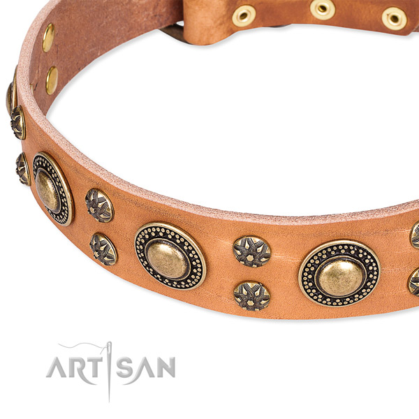 Fancy walking decorated dog collar of top notch full grain genuine leather