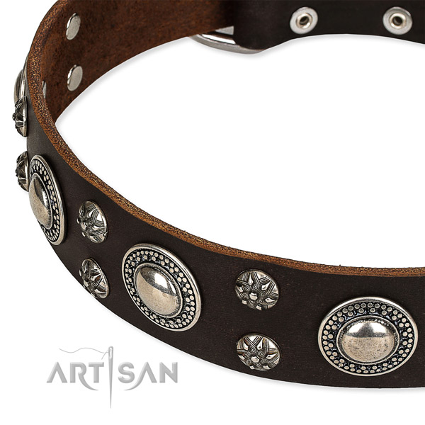 Daily walking decorated dog collar of reliable natural leather