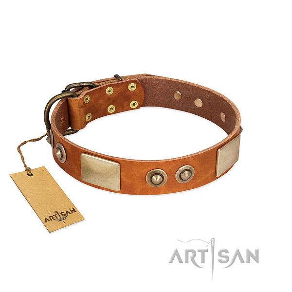 Adjustable genuine leather dog collar for stylish walking your four-legged friend