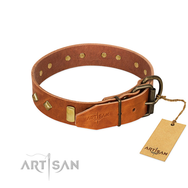 Everyday walking genuine leather dog collar with inimitable studs