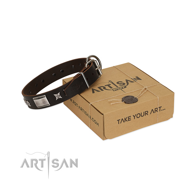 Perfect fit collar of leather for your handsome canine