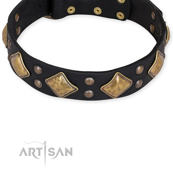 Genuine leather dog collar with designer rust resistant decorations