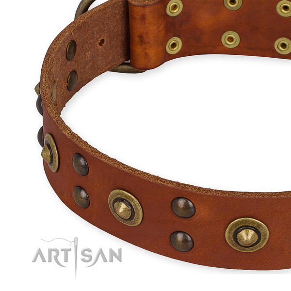 Leather collar with corrosion resistant D-ring for your lovely pet