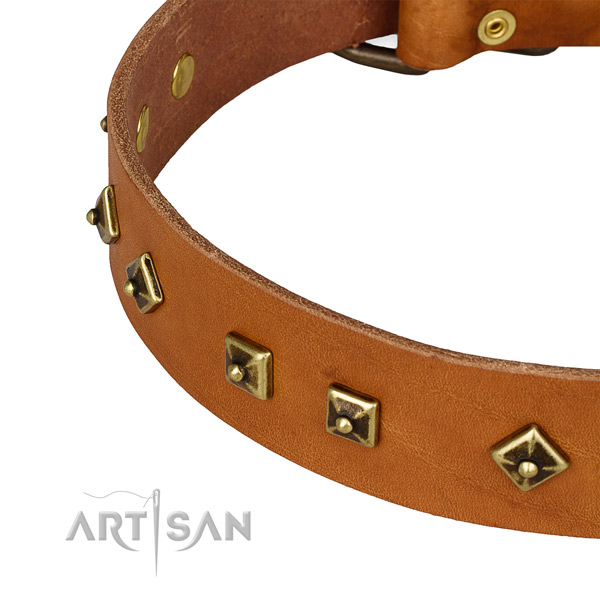 Stunning natural leather collar for your impressive canine