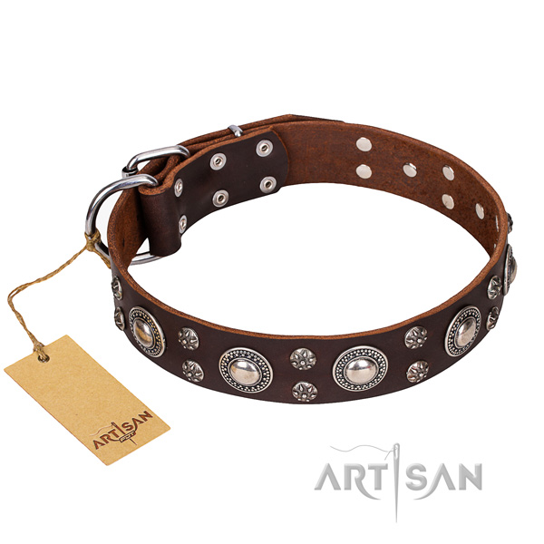 Fancy walking dog collar of durable genuine leather with adornments