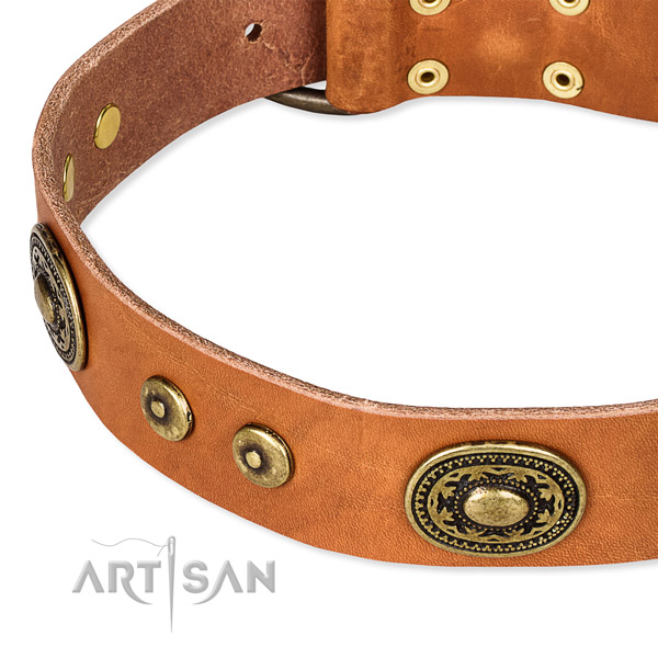 Full grain natural leather dog collar made of high quality material with adornments