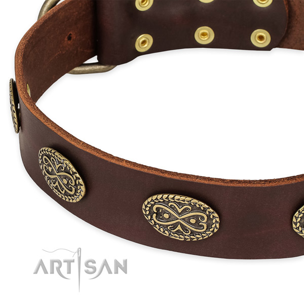 Significant genuine leather collar for your stylish dog
