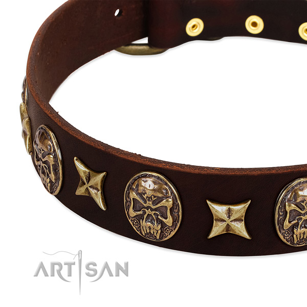Rust-proof studs on full grain natural leather dog collar for your doggie