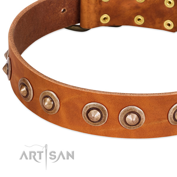 Rust resistant fittings on full grain genuine leather dog collar for your canine