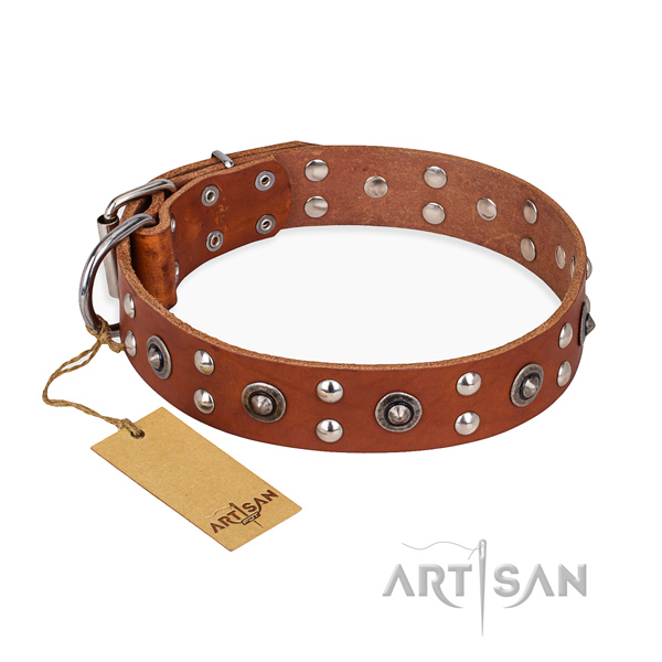 Daily walking best quality dog collar with rust-proof D-ring