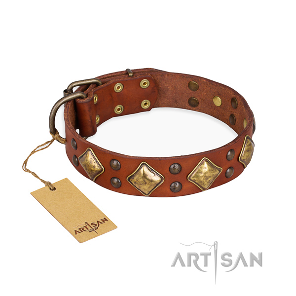 Comfortable wearing studded dog collar with durable D-ring