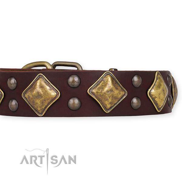 Full grain leather dog collar with designer corrosion resistant embellishments