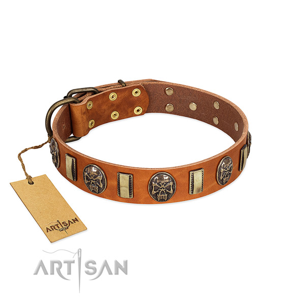 Designer full grain natural leather dog collar for walking