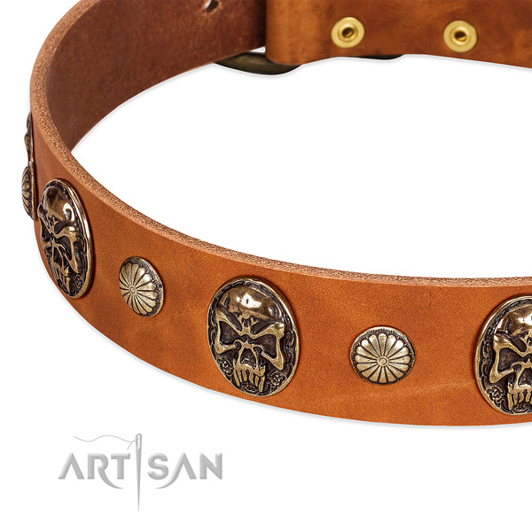 Corrosion resistant D-ring on leather dog collar for your four-legged friend