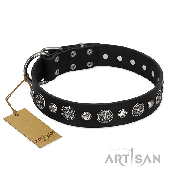Top notch leather dog collar with stylish adornments