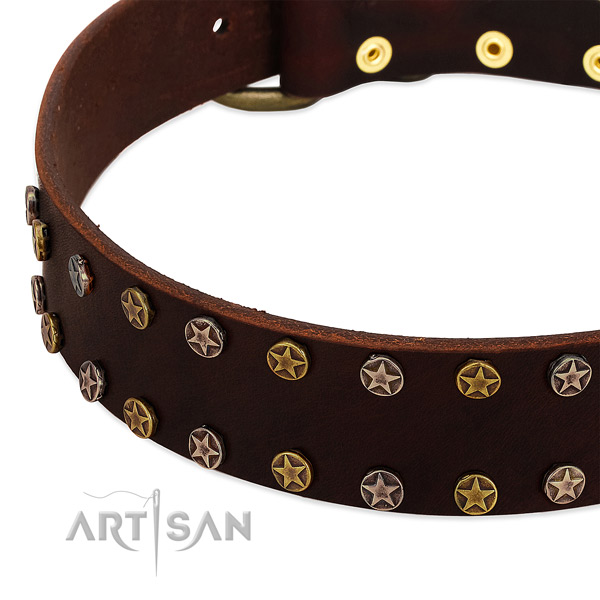 Everyday use full grain natural leather dog collar with trendy embellishments