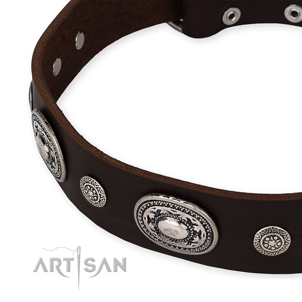 Strong genuine leather dog collar handcrafted for your handsome canine