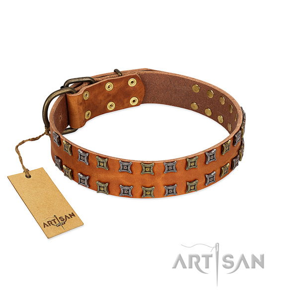 Best quality full grain leather dog collar with adornments for your pet