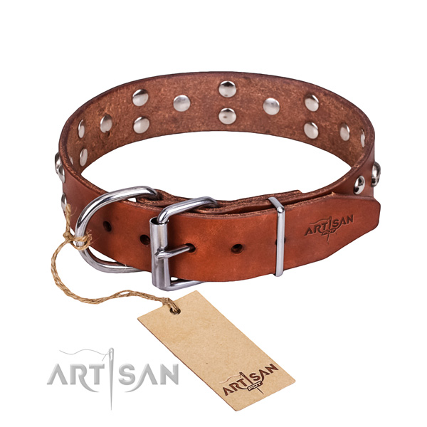 Walking dog collar of finest quality genuine leather with embellishments