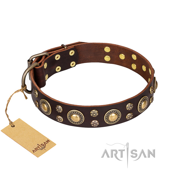 Walking dog collar of reliable full grain natural leather with decorations
