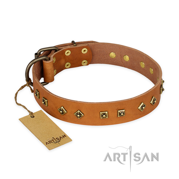 Top notch full grain leather dog collar with corrosion proof buckle