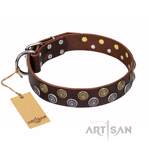 Daily walking dog collar of best quality full grain genuine leather with adornments