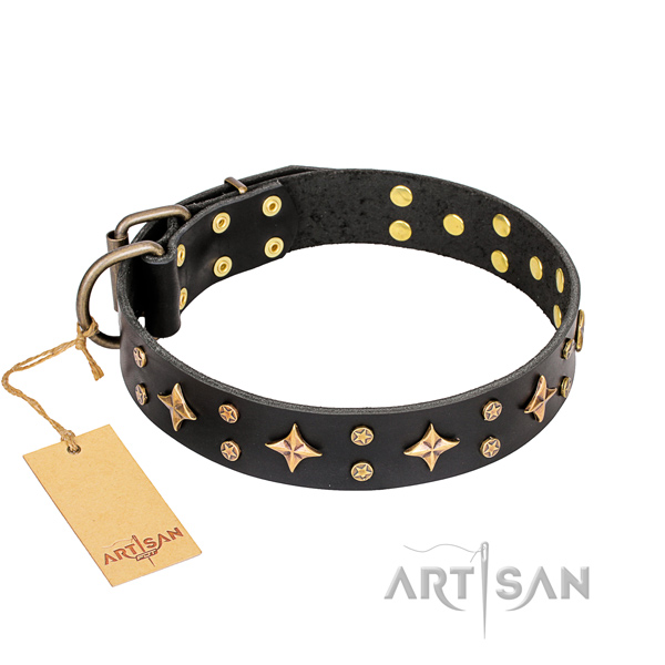 Daily walking dog collar of strong natural leather with studs
