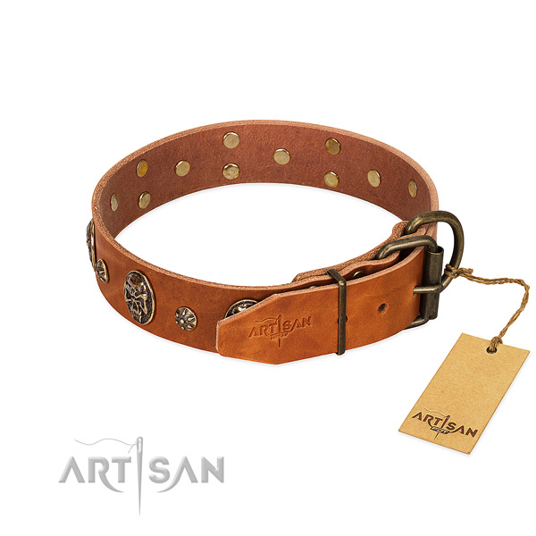 Durable decorations on leather dog collar for your canine
