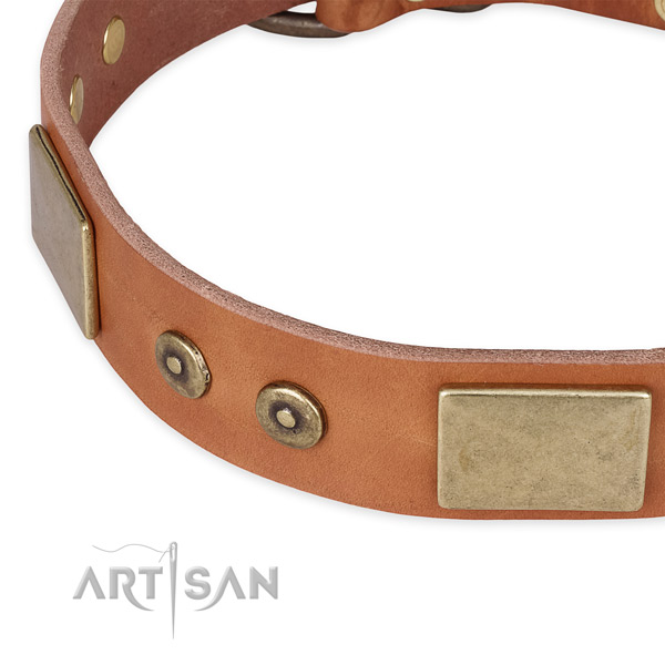 Durable fittings on leather dog collar for your four-legged friend