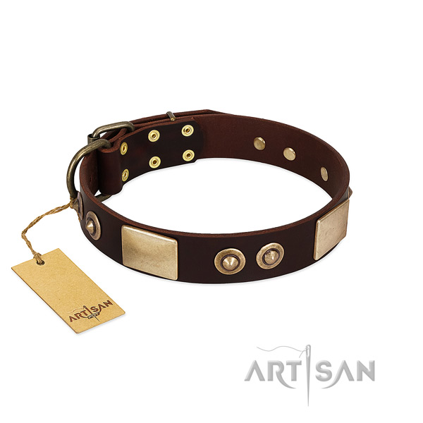 Easy wearing full grain natural leather dog collar for basic training your four-legged friend
