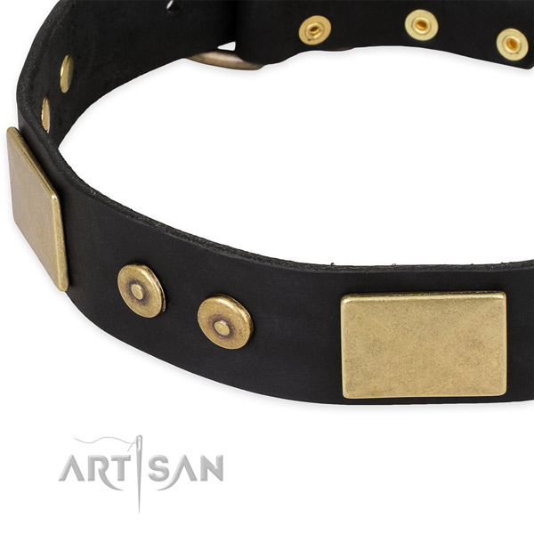 Rust resistant embellishments on genuine leather dog collar for your canine