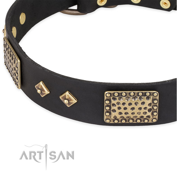 Rust-proof embellishments on genuine leather dog collar for your canine